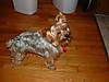 Dscf0059.jpg