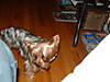 Dscf0083.jpg