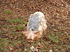 Dscf0094.jpg