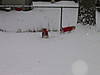 Enjoying_the_Snow_Resized.jpg