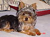 GRACIE_13OCT.JPG