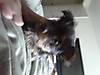 IMG00011-20110717-1041.jpg