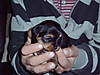 IMG00524.JPG