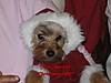 IMG_0219_2_.jpg