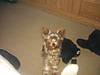 IMG_20120221_162900.jpg