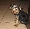 IMG_3299b.jpg