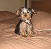 IMG_3338b.jpg