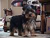 IMG_7924-small.jpg