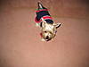I_Look_Studdish_Resized.jpg