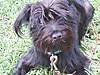 July_24_2011a.jpg