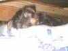 Kahlua_025.jpg