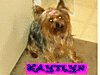Kaytlyn.GIF
