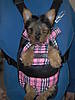 Keelie_4-4-06_007.jpg