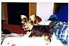 Lexi-My_Baby_0011.jpg