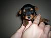Lily_3_weeks.jpg