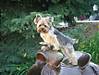 Look_out_John_Wayne_855_x_642_.jpg