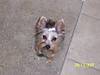 Lucy_August_34.JPG
