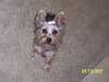 Lucy_August_35.JPG