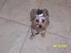 Lucy_August_37.JPG