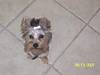 Lucy_August_38.JPG