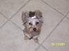 Lucy_August_39.JPG