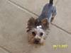 Lucy_August_41.JPG