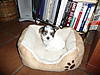 MAISY_2-26-10_002.JPG