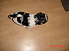 Max_003.jpg