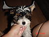 Max_004.jpg