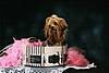 One-Hour_Photo_10003.JPG