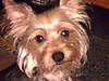 PHTO0026.JPG