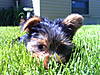 PICT00031.JPG