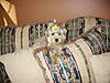 PICT0034.JPG