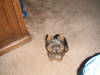 PICT0056.JPG