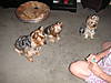 PICT0182.JPG