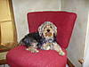 PICT0247.JPG