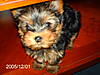 PICT0305.JPG
