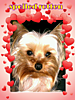 PicsArt_13298823609161.png
