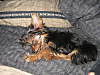 Picture005-2.jpg