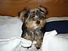 Picture_0081.jpg