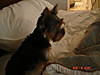 Picture_0111.jpg