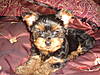 Picture_0122.jpg