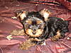 Picture_0141.jpg