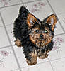 Picture_025-copy_edited.jpg
