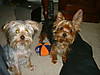 Picture_0483.jpg