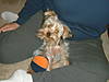 Picture_064.jpg