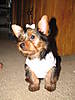 Picture_1199.jpg