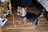 Picture_170.jpg