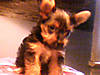 Picture_206.jpg