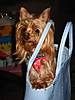 Picture_217.jpg
